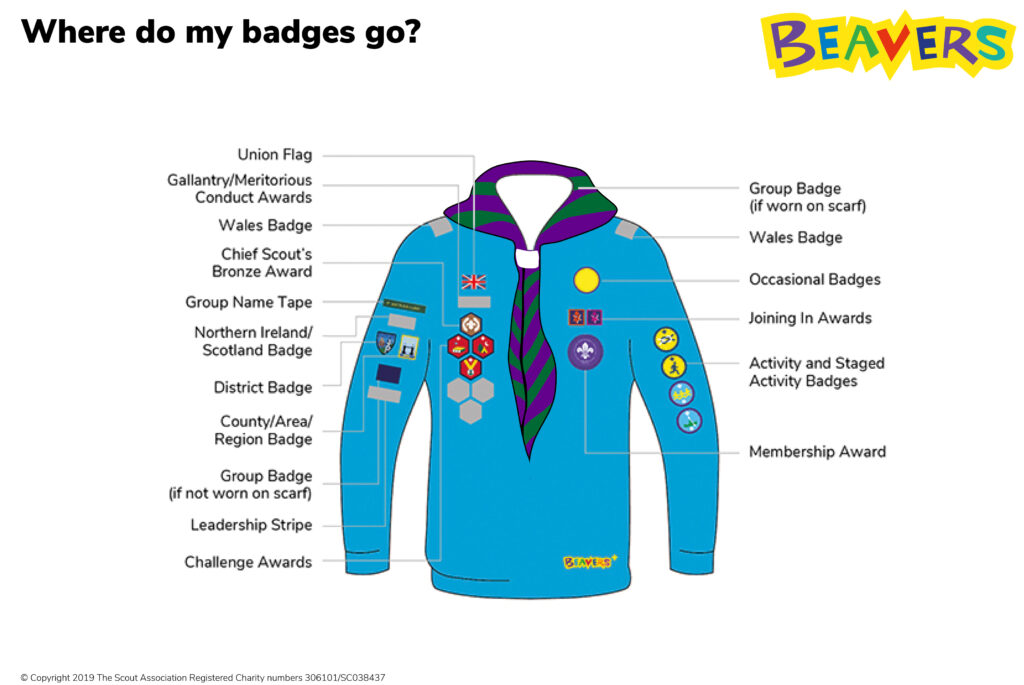 Beaver Uniform Badge Guide